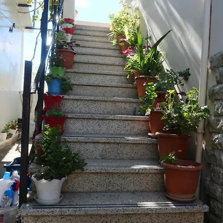 - Perfect For Large Groups Velipojë