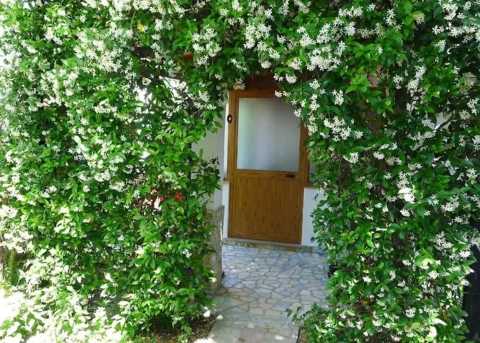 2 Floor House Perfect For Large Groups Holiday home Velipoje